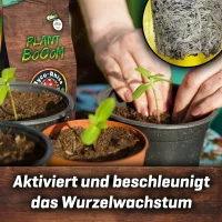 Plant BoOom - Myco-Rhiza BoOom