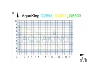 Aquaking Q2503 Tauch-Pumpe 5000 l/h  250W