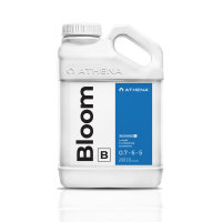Athena Bloom B 18,92 Liter